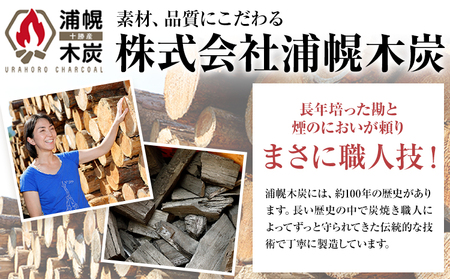 北海道産 浄化木炭 バケツ 飾り炭 1個 インテリア 消臭 置物 浦幌