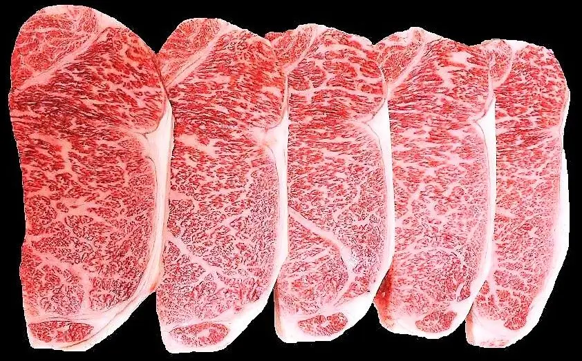 山形牛焼肉満腹セット　0002-2223