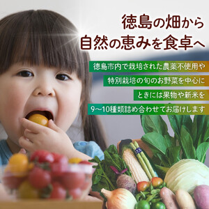 野菜セット 旬の野菜 （9~10種類) やさい 詰合せ 新鮮 季節の野菜