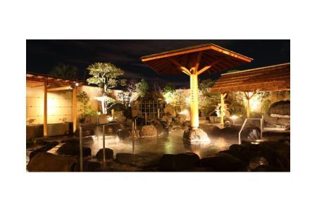 No.238 刈谷ハイウェイオアシス「天然温泉かきつばた」入泉券4枚（タオル付）