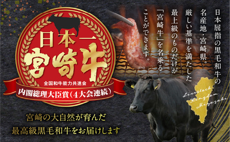 宮崎牛 カルビ・ロース焼肉 合計400g 焼き肉 バーベキュー 霜降り