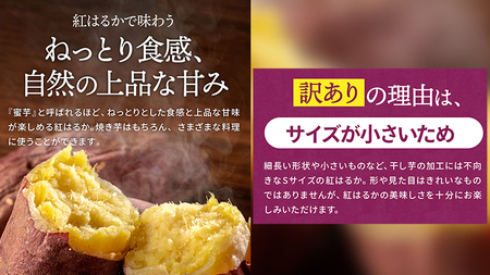 訳あり さつまいも 5kg 小さめ 無選別 （茨城県共通返礼品：行方市） 茨城県 行方市 サツマイモ さつま芋 お徳用