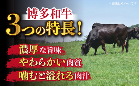 【全6回定期便】【たっぷり大容量！】博多和牛 切り落とし 1000g(500ｇ×2Ｐ） 牛肉 肉 [ABBP028] 