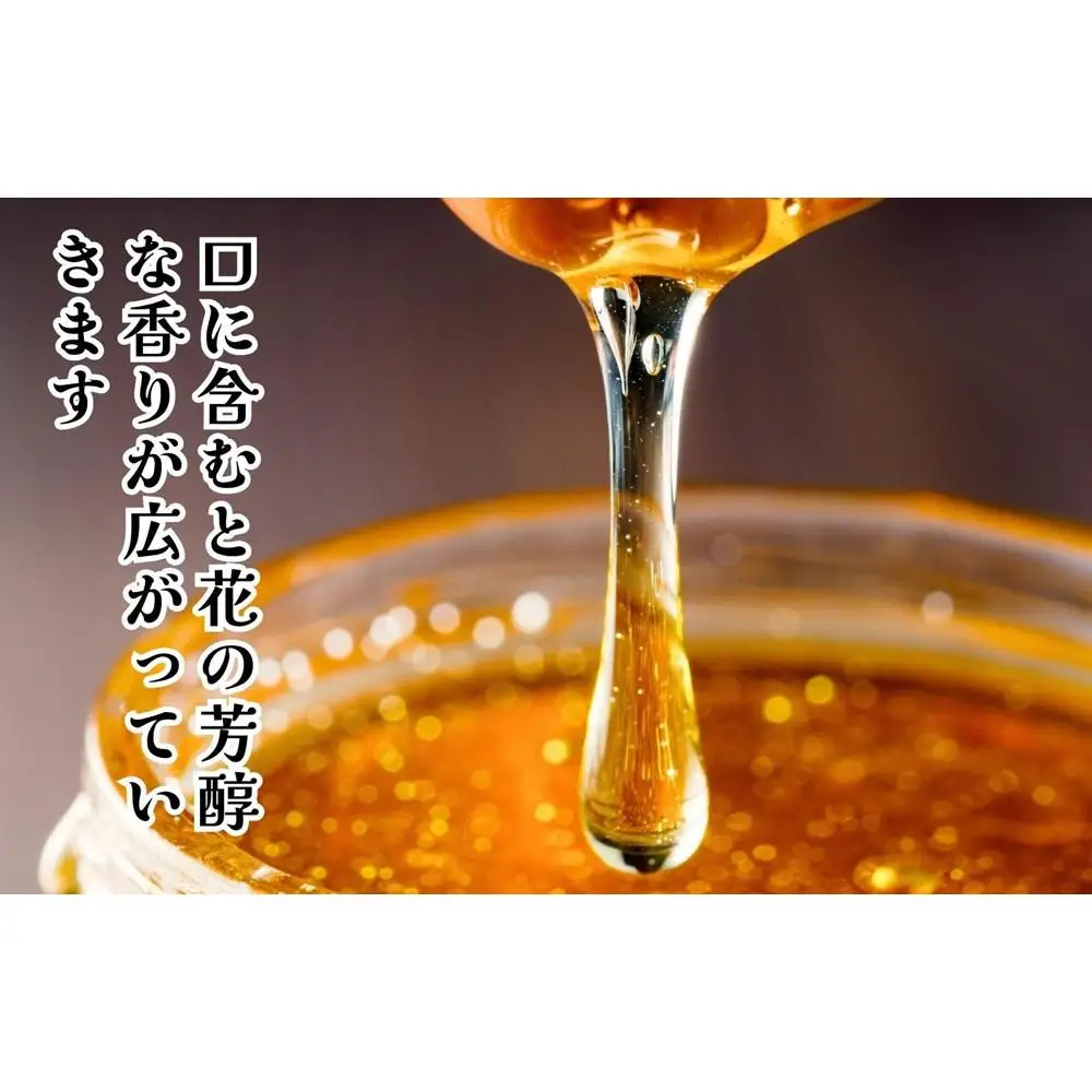 はちみつ 有田のはちみつセット （みかん蜂蜜210g 百花蜜蜂蜜210g 各1本） 和歌山県産 産地直送 【みかんの会】