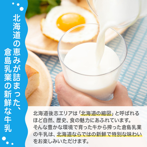 月2回×3ヶ月 計6回定期便 北海道産 倉島3.7牛乳 1L×12本セット［倉島乳業株式会社］【 定期便 牛乳 ぎゅうにゅうミルク 生乳 乳 牛 飲料 健康 栄養 カルシウム 北海道 仁木 】