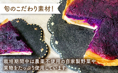 身体にやさしい 季節 の タルト 《糸島》【天然パン工房楽楽】【いとしまごころ】[AVC047]