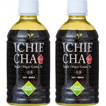 高級煎茶　ICHIE　CHA 12本入り シングルオリジン ペットボトル高級緑茶　静岡磐田市産_飲料・ドリンク 飲料 茶 _【1419401】