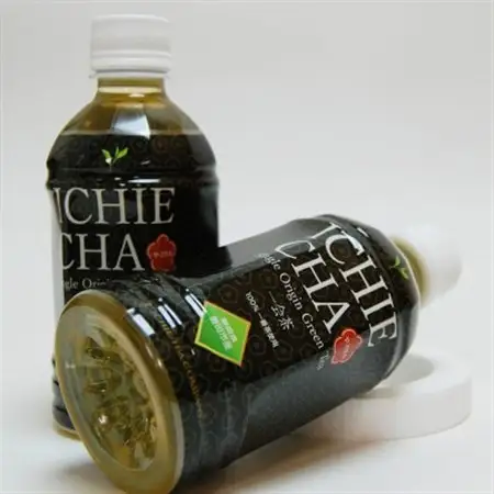 高級煎茶　ICHIE　CHA 24本入り　シングルオリジンペットボトル高級緑茶　静岡磐田市産_飲料・ドリンク 飲料 茶 _【1419410】