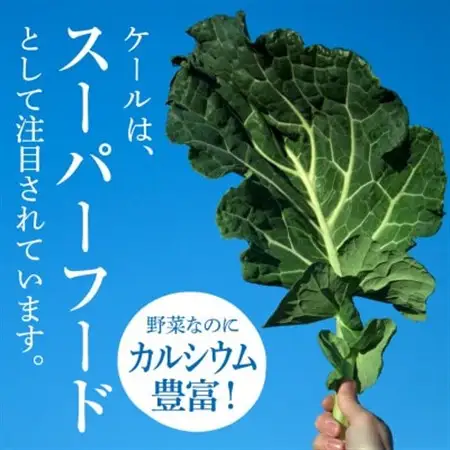 青汁 無添加 ケールジュース 90ml×20パック 健康 腸活応援 有機栽培 スムージー 冷凍_ケール 青汁 冷凍_【配送不可地域：離島】【1419787】