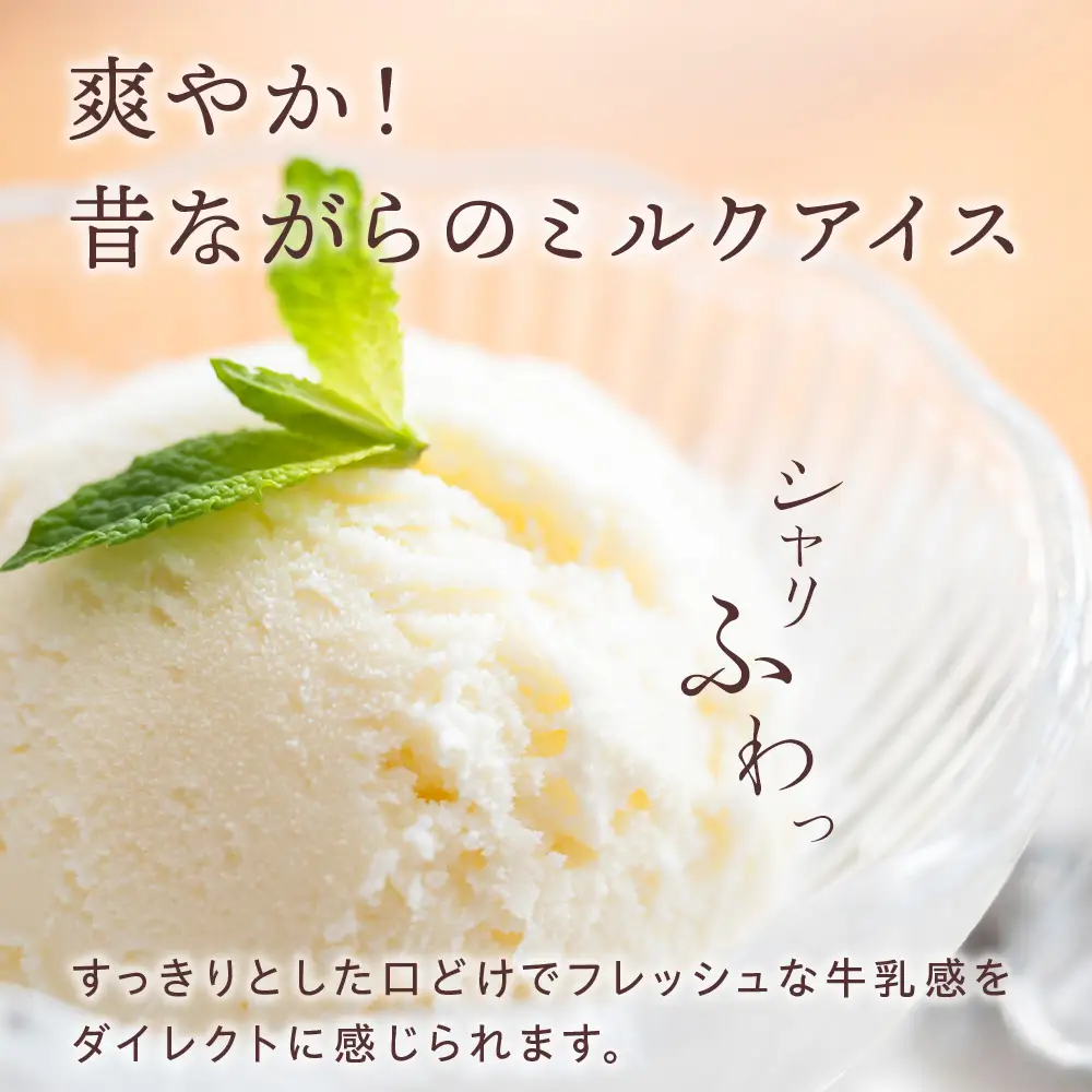 アイス セット アイスクリーム 10個