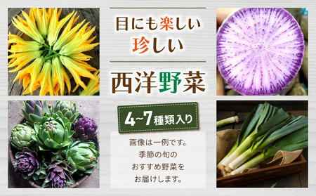 【アグロノーム】季節のお野菜セット（２～３人様向け）※2024年7月以降発送開始