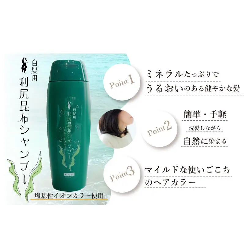 利尻昆布 ヘアカラー シャンプー ブラック 2本セット