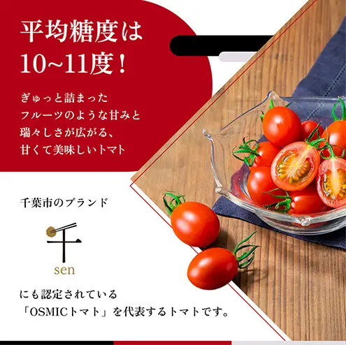 トマトグランプリ優勝 OSMIC トマト 500g Premium フルーツトマト プチトマト あまいトマト 野菜 ギフト 贈答 贈答品 プレゼント 返礼品 ご当地 特産品 名産品 冷蔵 冷蔵配送 千葉県 千葉市