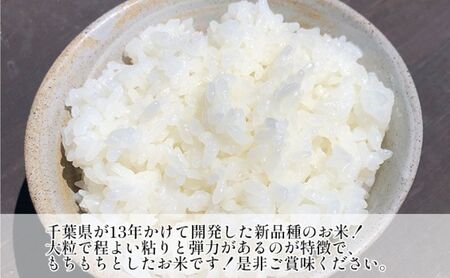 最短出荷 2日から7日以内に発送 令和7年 粒すけ 5kg 千葉産 白米　【 お米 こめ コメ おこめ 】 