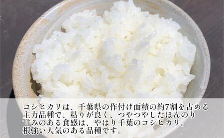最短出荷 2日から7日以内に発送 千葉産 コシヒカリ 白米 2kg　【 お米 コシヒカリ 米 白米 2kg 】 
