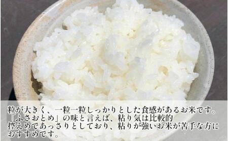 最短出荷 2日から7日以内に発送 米 令和7年 ふさおとめ 2kg  千葉産 乾式 無洗米　【 お米 こめ コメ おこめ 】 