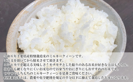 【6ヶ月連続定期便】千葉産 令和7年  ミルキークィーン 乾式無洗米 10kg（5kg×2）【定期便・ お米 ご飯 白米 精米 令和7年 注文後精米 モチモチ 粘り お弁当 おにぎり 冷めてもおいしい 】 