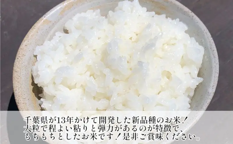 最短出荷 2日から7日以内に発送 令和7年 コシヒカリ　無洗米　10kg お米 精米 粘りつやつや 甘み 美味しい 新鮮 