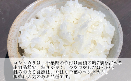 最短出荷 2日から7日以内に発送 千葉産　令和7年コシヒカリ　白米27kg【 お米 粘りつやつや 甘み】 精米 ほんのり甘み 食感 新鮮 