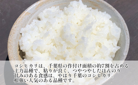 令和7年 3ヶ月定期便　コシヒカリ　無洗米　10kg（5kg×2）【定期便 お米  粘り甘み】 精米 粘りつやつや 美味しい 新鮮 