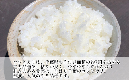 令和7年産　6ヶ月定期便　コシヒカリ　白米　10kg【定期便 お米 白米 粘り甘み】 精米 粘りつやつや 美味しい 新鮮 