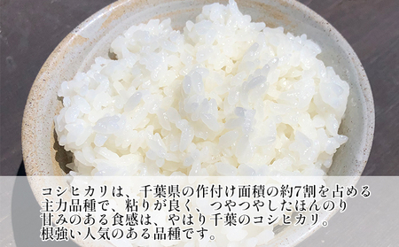令和7年産　6ヶ月定期便　コシヒカリ　無洗米　10kg【定期便 お米 白米 粘り甘み】 精米 粘りつやつや 美味しい 新鮮 