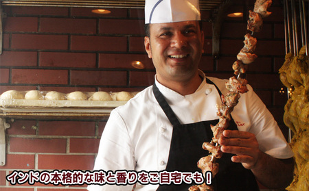 印度料理シタール 3カレーセット【カレー 詰め合わせ 加工食品 レトルト食品 惣菜 レトルト 簡単調理 】 冷凍 インドカレー バターチキンカレー マイルド スパイシー 辛口 キーマカレー ほうれん草とチーズのカレー 中辛 ミニナン 
