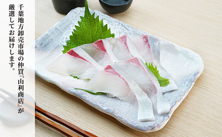 千葉市場直送　朝一活〆！カンパチ半身分（スキンレスロイン） 魚貝類 冷蔵 柵 新鮮 刺身 養殖カンパチ しゃぶしゃぶ かんぱちの刺身 つまみ 肴 