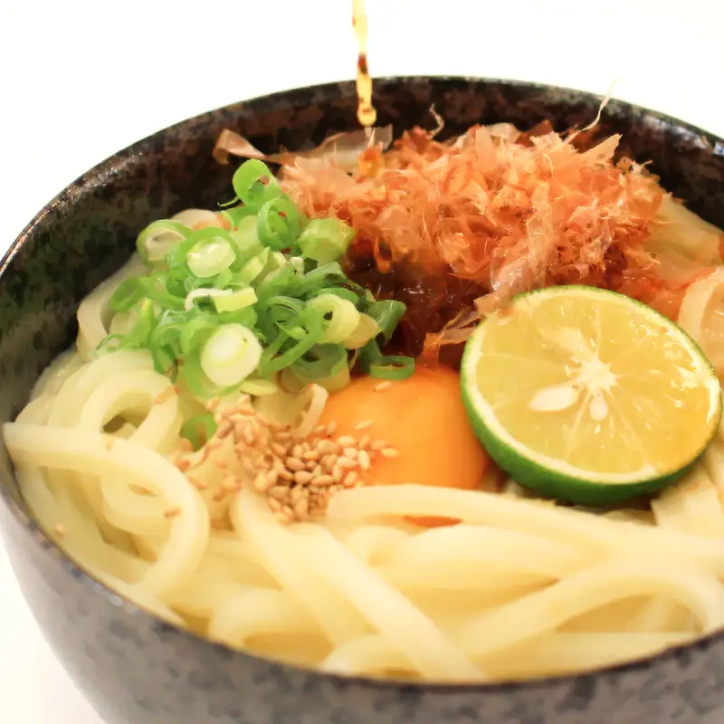 二段熟成半生さぬきうどん60人前 300g×20袋 FAH-0100