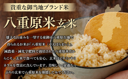 【寄附額改訂↓】令和8年新米予約【3回定期便】八重原米10kg（5kg×2袋）合計30kg 玄米　※2026年10月以降順次発送｜笹屋農園「農薬削減長野県認証取得」先行予約 お米