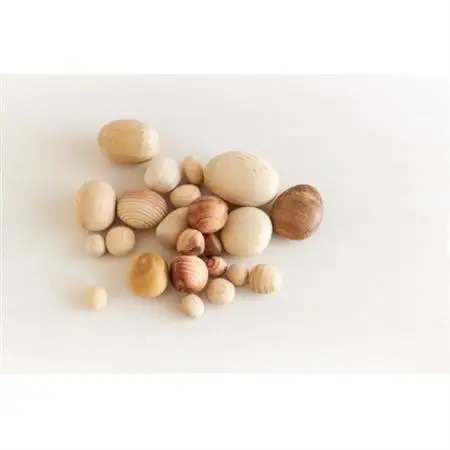木のたまごコロロ:樹種ミックスset_雑貨   _【1419713】