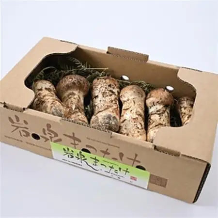 【2026秋発送】岩泉まつたけ 300g_野菜 松茸 きのこ まつたけ マツタケ_【配送不可地域：離島】【1421529】