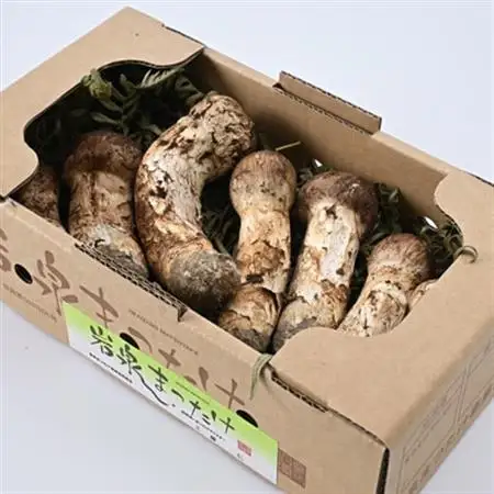 【2026秋発送】【自家用】岩泉まつたけ 300g_野菜 松茸 きのこ まつたけ マツタケ_【配送不可地域：離島】【1421549】