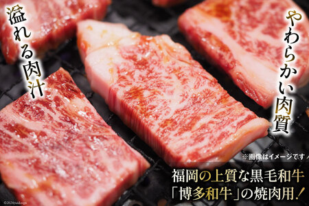 訳あり 博多和牛 A4～A5 切り落とし 焼肉 (肩ロース or バラ）500g×2 計1kg 化粧箱 / MEAT PLUS / 福岡県 筑紫野市 [21760470]