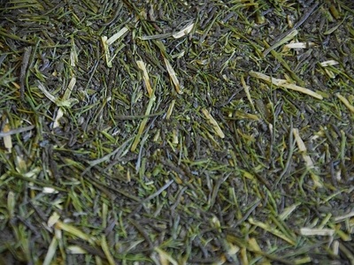 11-64 豊かな香り 上品な味わい「川根茶 特撰秘園かりがね」100g×3袋