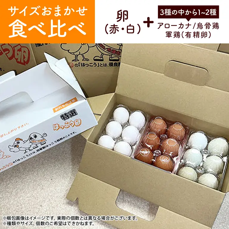 訳あり はっこう卵 3～4種 おまかせ 食べ比べ 15個 +破卵保障3個 卵 種類 サイズ お任せ 訳アリ 3種 4種 白卵 赤卵 青卵 烏骨鶏 有精卵 軍鶏 アローカナ たまご タマゴ 食比べ 生卵 味卵 目玉焼き ゆで卵 沖縄 産地直送 上原養鶏場 沖縄県 糸満市 115-1