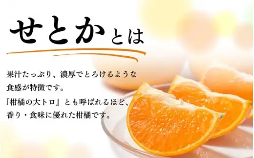  【ご家庭用訳あり】 紀州 和歌山産 せとか 5kg 先行予約  / みかん フルーツ 果物 くだもの ※2027年2月中旬頃〜3月中旬頃発送（お届け日指定不可） ※離島への配送不可 【uot748A】