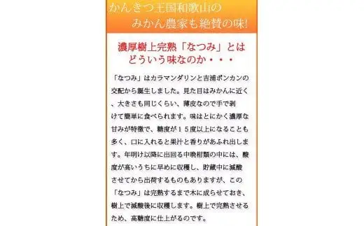  初夏の みかん なつみ 3kg / みかん 甘い 柑橘 有田 和歌山 果物 ※2027年4月中旬頃〜4月下旬頃順次発送予定（お届け日指定不可） ※離島への配送不可 【uot753A】