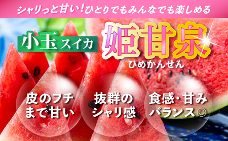 有機肥料 で 育てた 小玉 スイカ 【 姫甘泉 】（ 4個入り ） M002-005 【 期間限定 】 果物 すいか