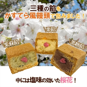 三島銘菓】 三島ざくら 三種詰め合わせ （ 黒糖餡 / 栗餡 / しそ餡