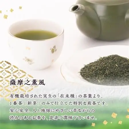 一番茶のみ使用!有機栽培緑茶“薩摩之薫風”【100g×3袋】 A3-272_鹿児島茶 緑茶 かごしま茶 一番茶 特上 煎茶 セット 人気 茶葉 香り高い 深い味わい お茶 旨み 甘み 国産 お取り寄せ 茶 鹿児島県 枕崎市 送料無料_【配送不可地域：離島】【1167069】