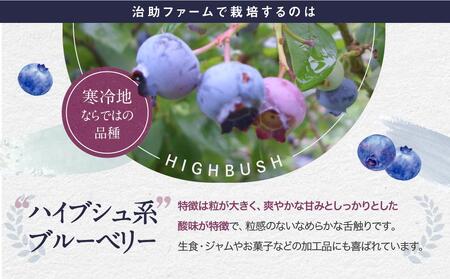 【2026年発送先行受付】北部ハイブッシュ ブルーベリー「生果実」460g×2 LJ002｜ブルーベリー