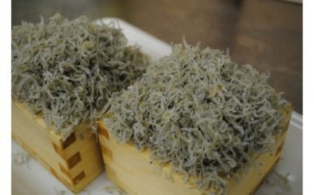 R6-752．【6回定期便】老舗海産物店の土佐黒潮こだわりちりめんじゃこ560g【2ヶ月に１回お届け】（計3.36kg）