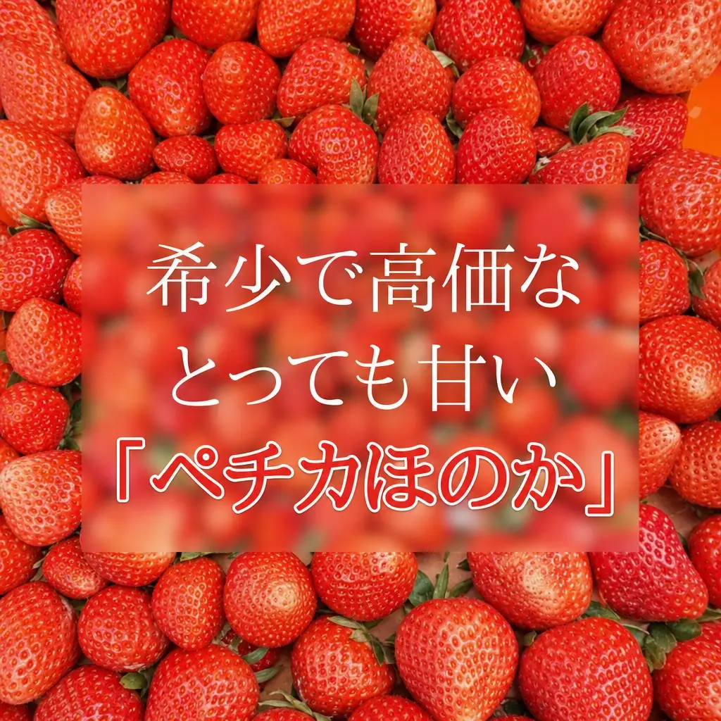 【先行予約】《期間限定》ペチカほのか 300g（12～24粒）2パック【令和8年7月下旬以降発送予定】 いちご イチゴ 18-06