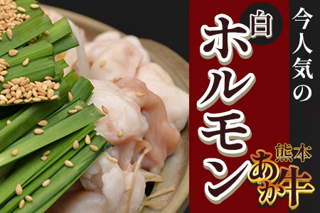 熊本あか牛 白ホルモン 計500g（250g×2パック）冷凍真空パック 【 熊本 熊本県産 あか牛 冷凍 真空 もつ鍋 ホルモン 焼き肉 】 041-0135