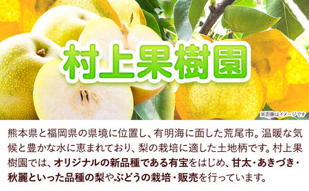 梨 なし 荒尾梨 約1.8～2kg 果物 和梨 村上果樹園 あきづき 甘太 秋麗 【品種の指定不可】 《8月上旬-9月末頃出荷》熊本県 荒尾市 2kg 前後 果物 フルーツ 旬 荒尾市産 国産 冷蔵 ギフト 贈り物 お中元 送料無料 美味しい梨 旬の梨 ジューシー梨 フルーツ梨