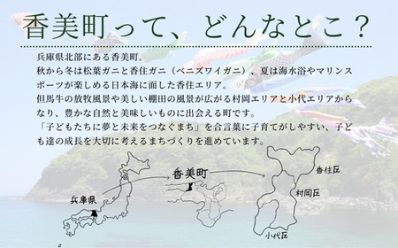 【返礼品なし】兵庫県 ふるさとづくり寄附金（9,000円分）9000 9000円 九千円 以下 25-41