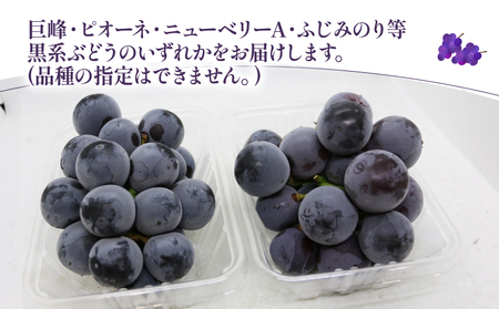 ぶどう 1kg マル南フルーツ [F010-106031] ぶどう