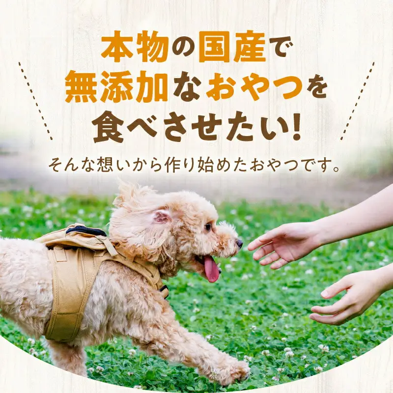 ワンちゃん猫ちゃん大喜び！ 北海道産 ヒューマングレード 無添加 ジャーキー 3種類 セット チキンチップス 薄切り 犬用 猫用 犬 猫 おやつ ドッグフード キャットフード 北海道 余市町 _Y078-0008