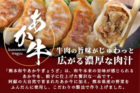   熊本 あか牛 和牛 ぎょうざ 40個(20個×2P) 046-0632
